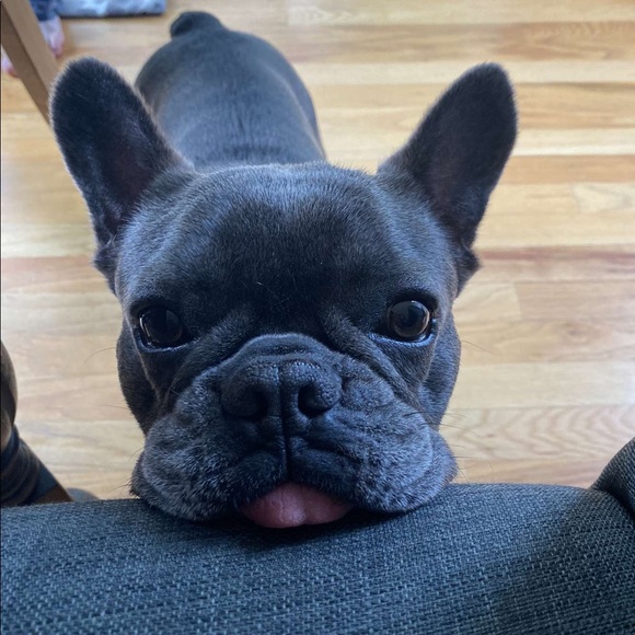 Meet your Posher, Marc - Picture 1 of 1